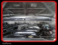 Engine before being detailed by Fifty Dollar Detail, Ridgefield, WA.